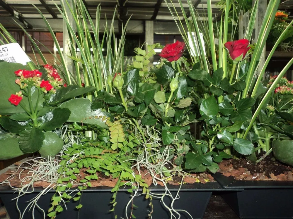 conception florale (1)