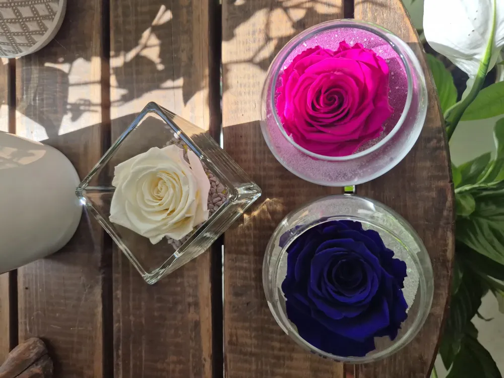 LA BELLE FLEUR - Fleur séchée webp